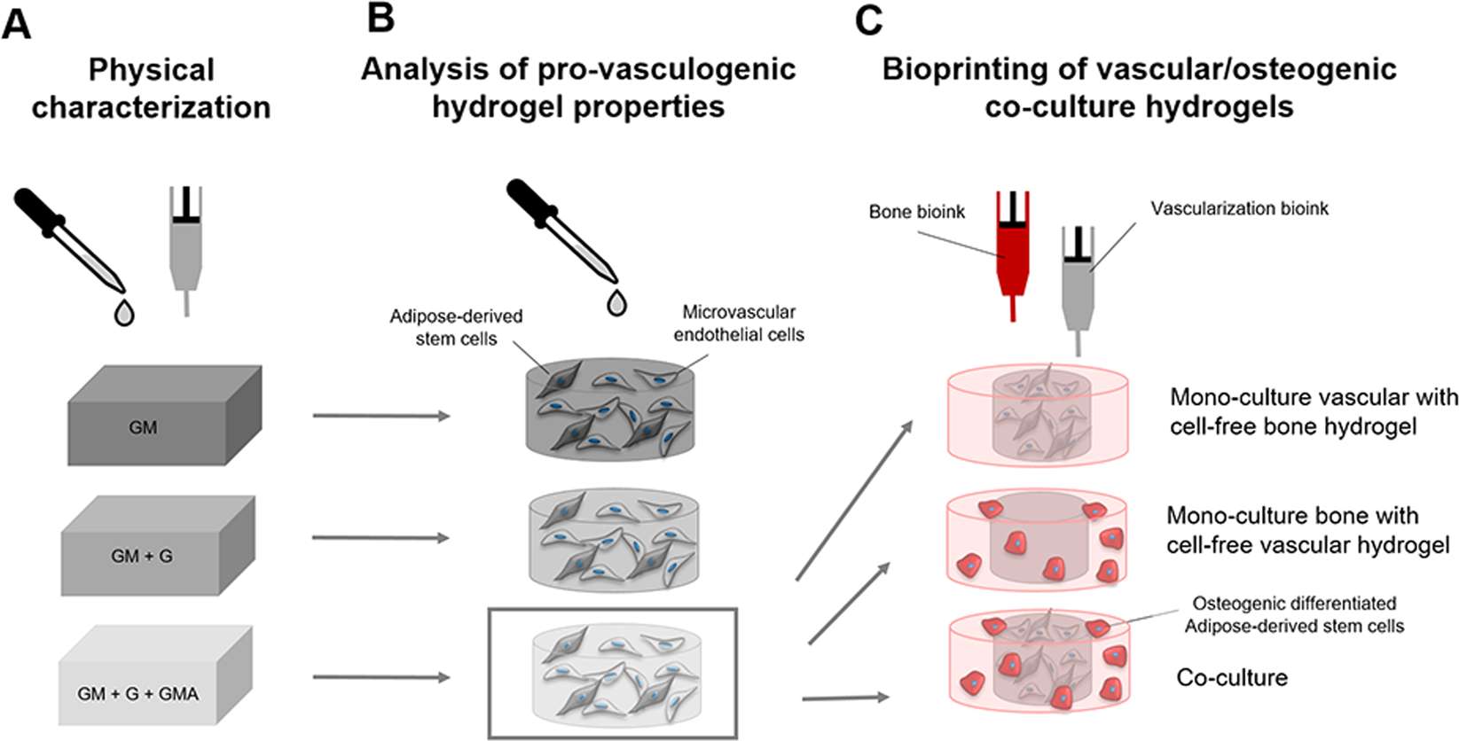 Schematic overview of samples and experimental investigations of the study.