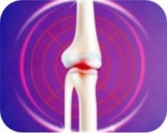 Bone Cancer Micro-model