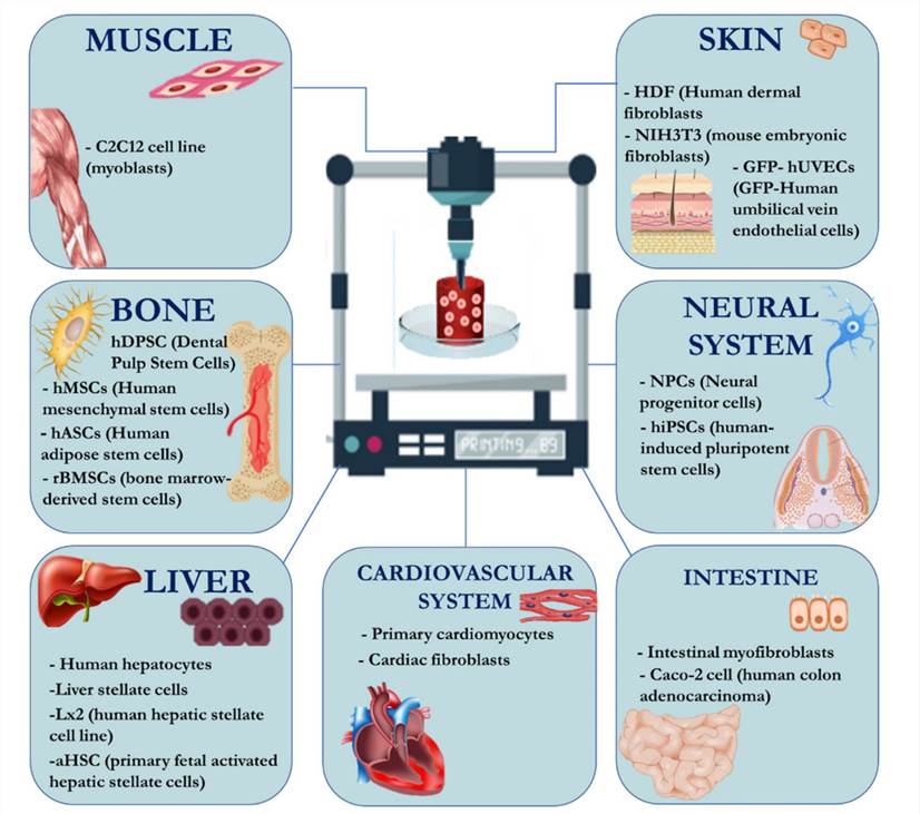 Conventional cell types selected for cell embedding in protein-based composites according and biomedical application.
