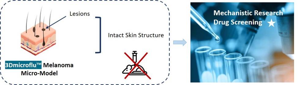 In vitro models built on 3Dmicroflu technology platform for melanoma mechanism research and drug screening - CD BioSciences.