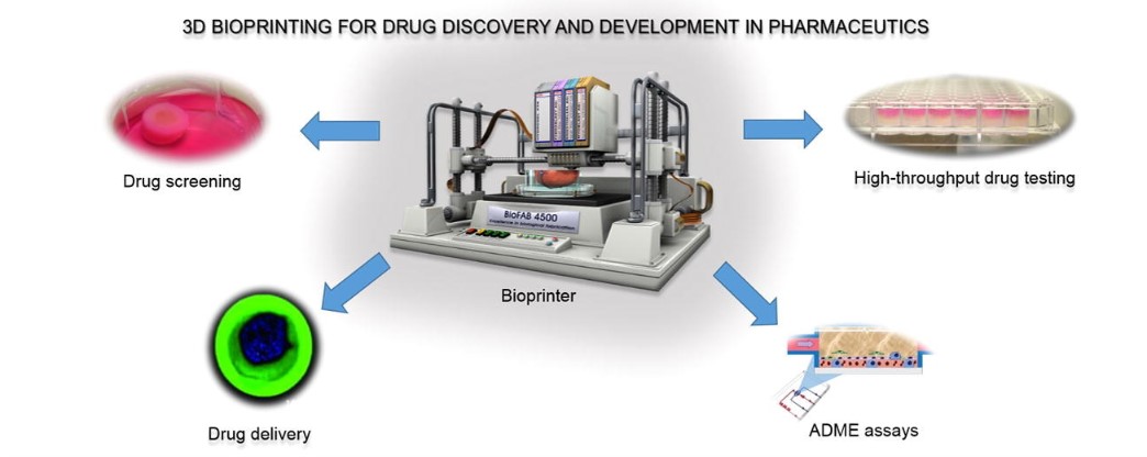 Figure 1. 3D bioprinting for drug discovery and development in pharmaceutics.