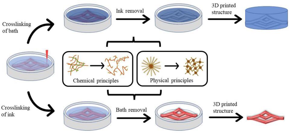 Overview of the main application scenarios of sacrificial biomaterials based on physical and chemical polymer crosslinking principles in 3D bioprinting.