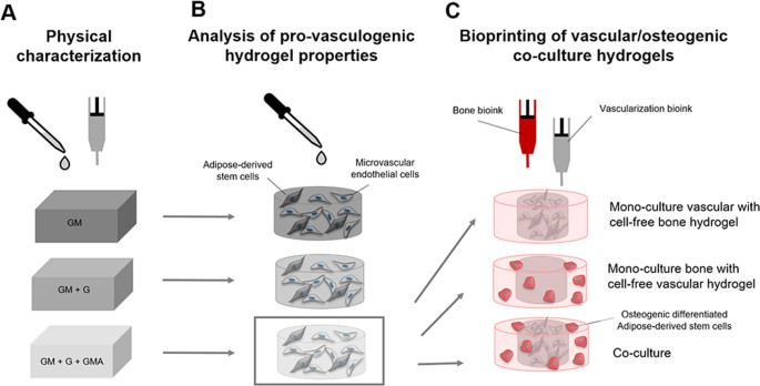Schematic overview of samples and experimental investigations of the study. (Leucht A, et al.; 2020)
