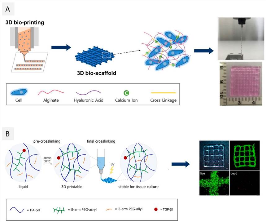 Some strategies applied for the development of hyaluronic acid-based bioinks.