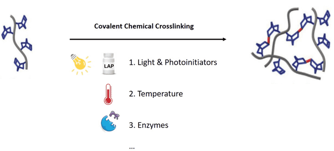 Schematic diagram of polymer cross-linking based on a series of chemical methods. – CD BioSciences