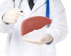 Drug Toxicology Testing Micro-model