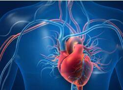 Disease Mechanism Research Based on 3Dmicroflu™