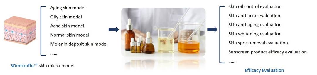 The general process of 3Dmicroflu™ technology platform in applying to cosmetics efficacy evaluation - CD BioSciences.