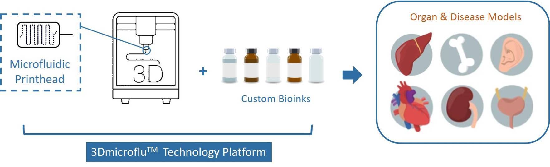 BIAchip™ in the process of early detection of disease - CD BioSciences